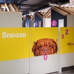 Image of the entrance into the sleeping hut area. the door has a picture of a dog on it.