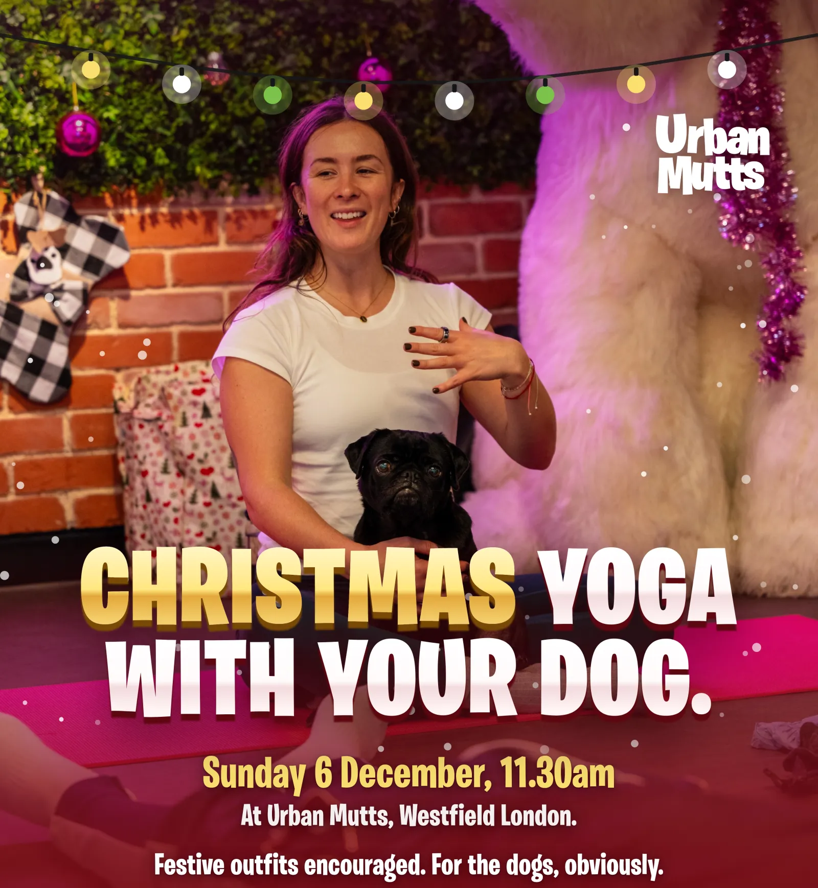Christmas Yoga With Your Dog poster: Sunday 6 December, 11.30am at Urban Mutts, Westfield London