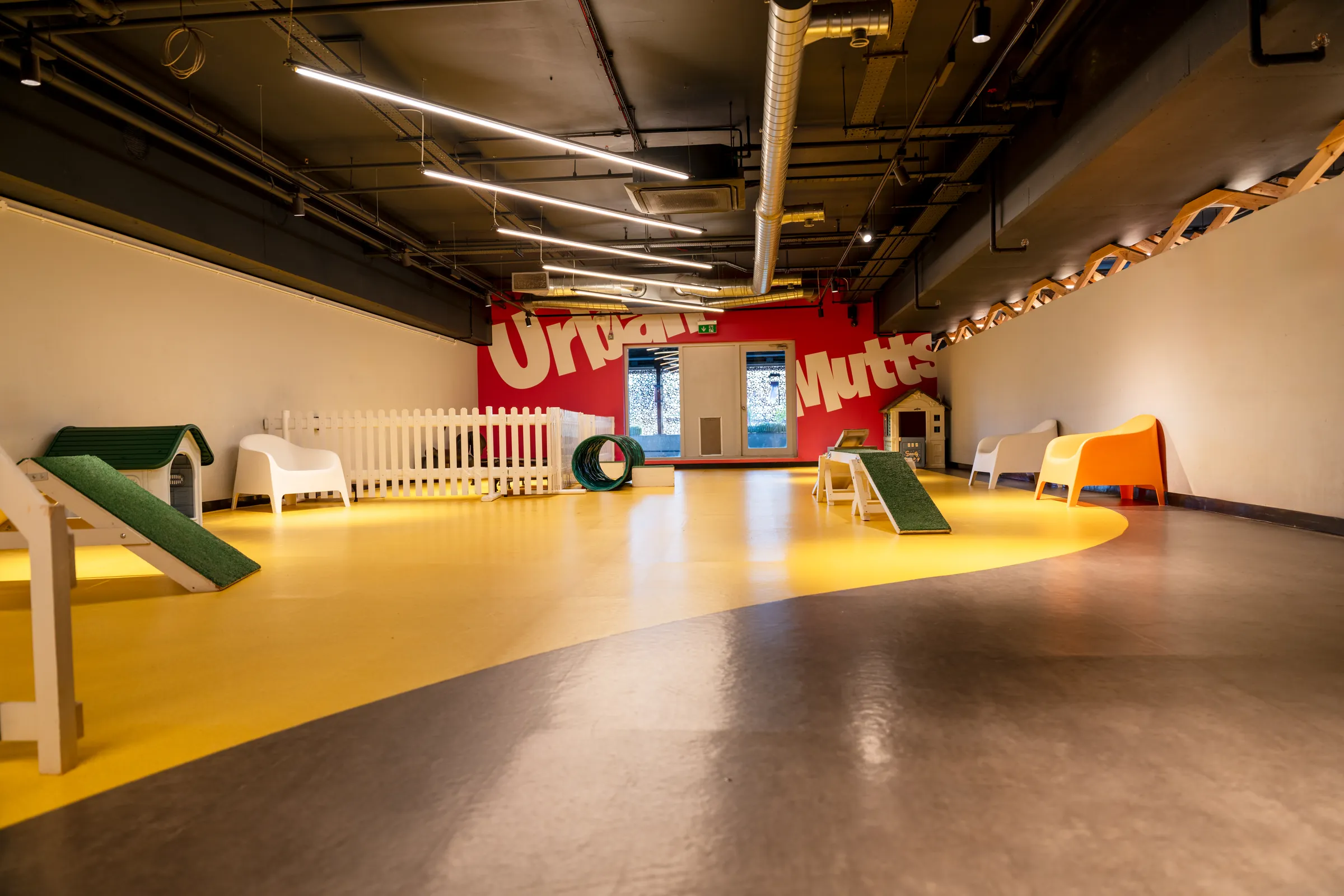 Inside the Urban Mutts club in West London