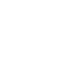 Chuckit!
