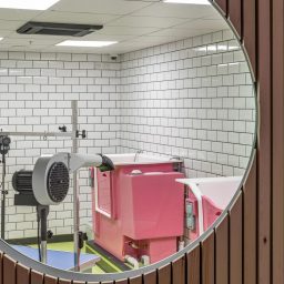 a window view image of the urban mutts grooming facility