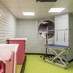an inside view of the Urban Mutts grooming facility