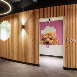 an outside view of the urban mutts groomin facility and foyer